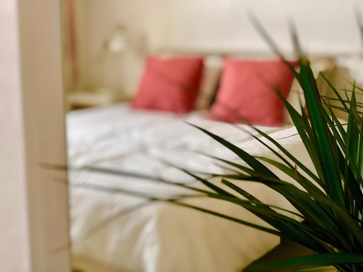 Cuarto Botanico Studio - Shared Pool - Central Island Location - 10 Mins Drive To Famara And La Santa Tiagua Luaran gambar